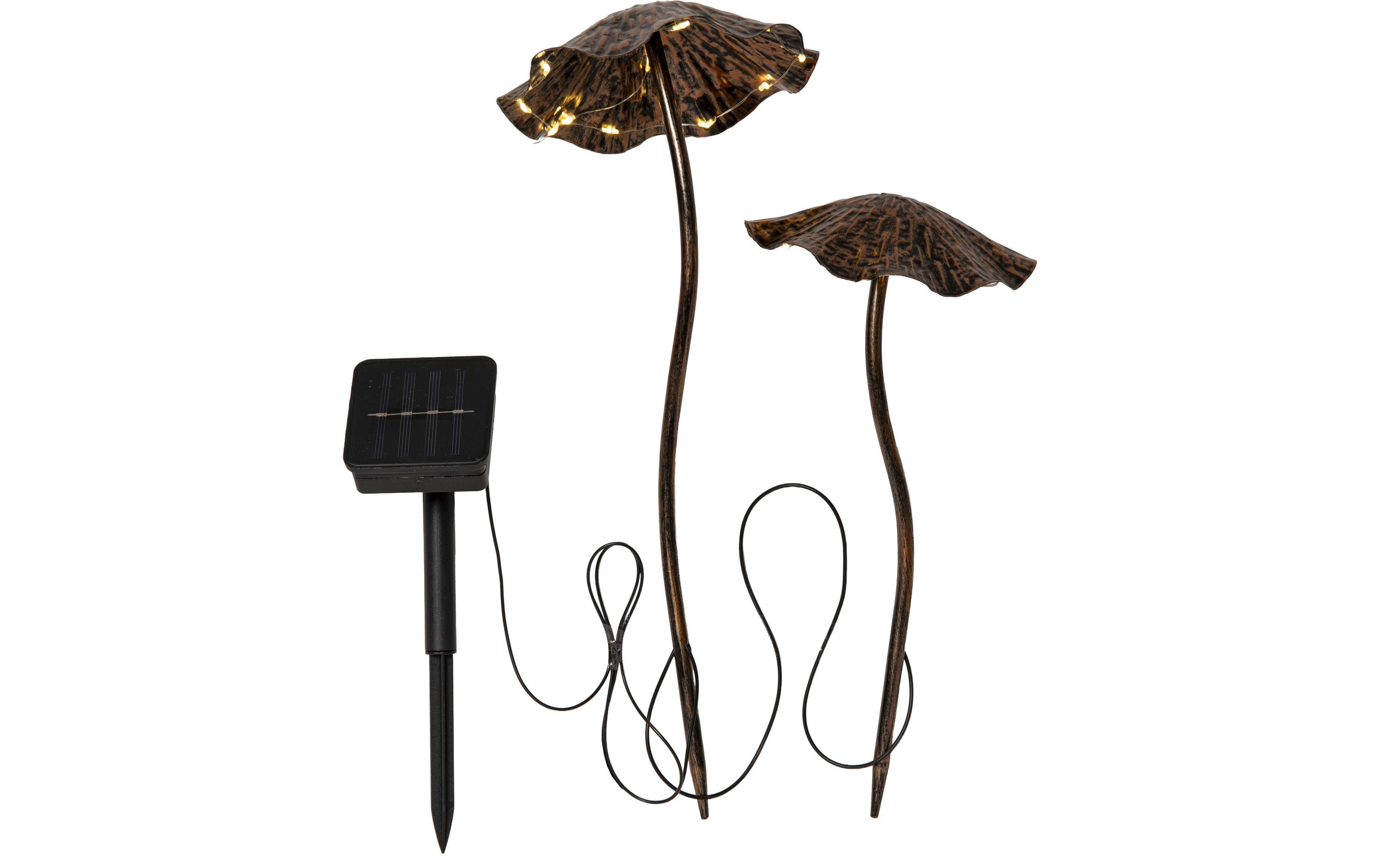 Star Trading Solar Dekoration Lumini Indoor, 50cm