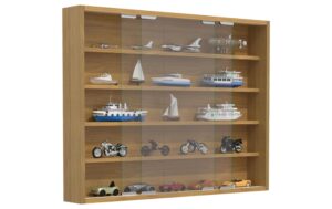 VCM Wandvitrine Agisa L Buche
