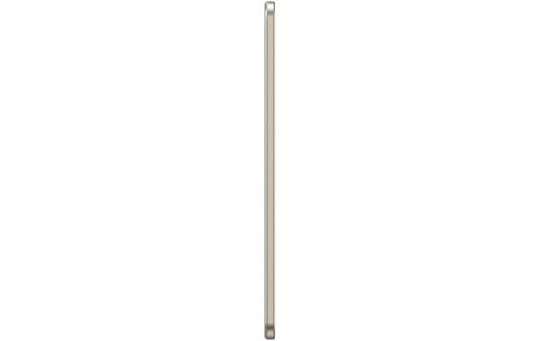 VALENTA MagSafe Mirror Natural Titanium