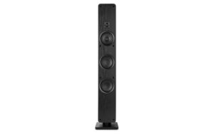 Audizio ARCO-P-BK Tower-Lautsprecher, Passiv, schwarz kaufen Schweiz | Mediatech.ch