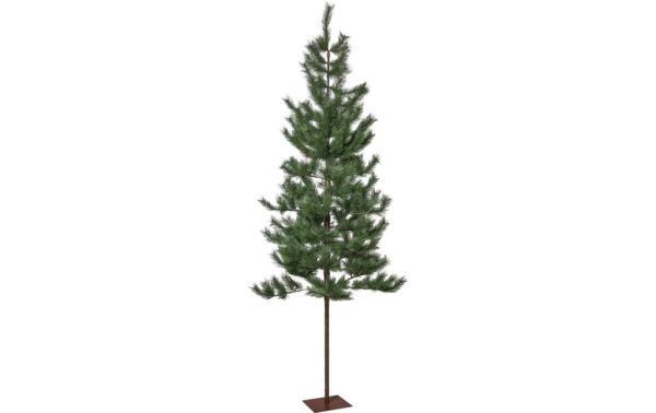2139555 - Mediatech Star Trading Weihnachtsbaum Tallis Indoor, Grün, 200cm kaufen | Mediatech.ch