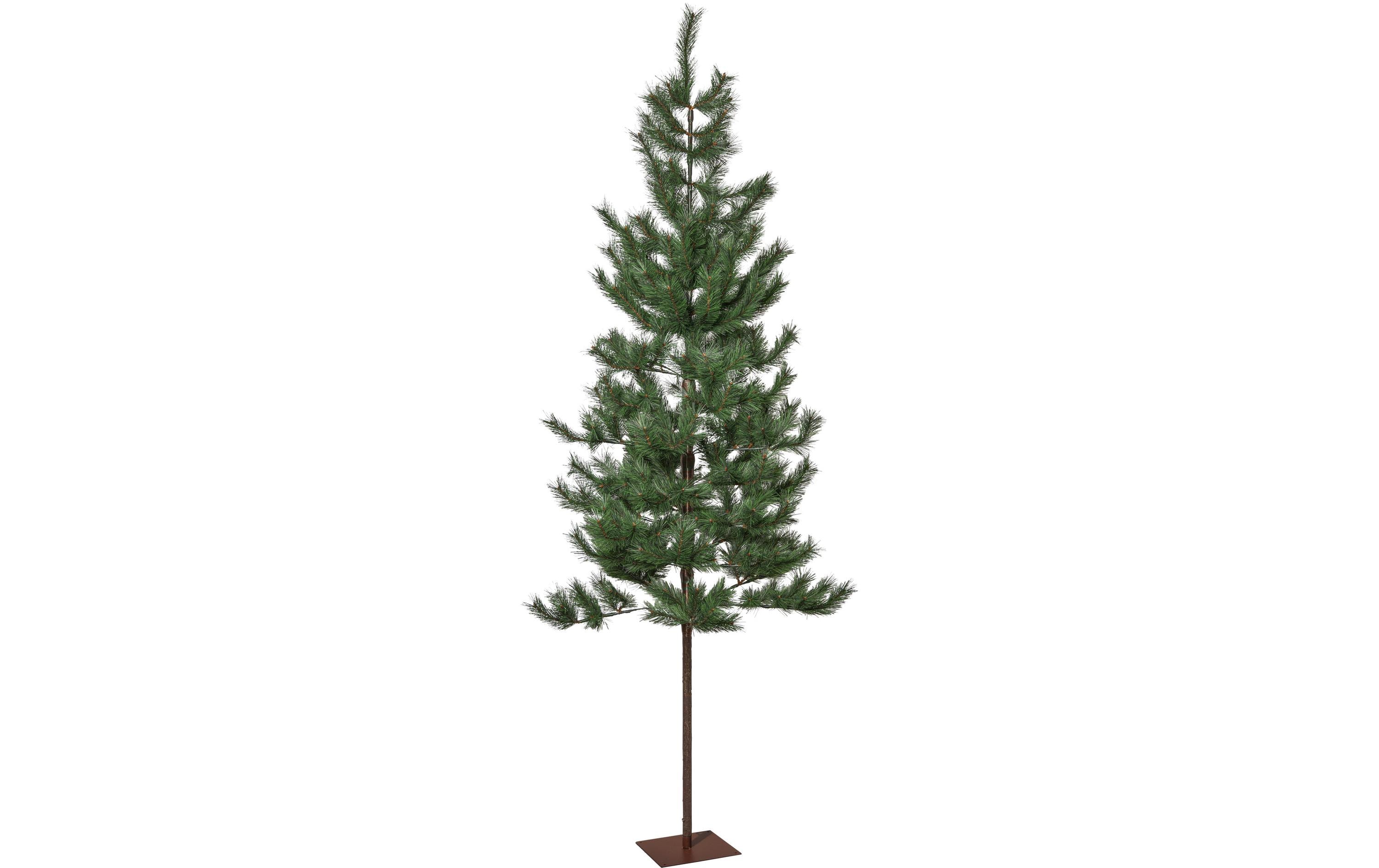 Star Trading Weihnachtsbaum Tallis Indoor, Grün, 200cm kaufen | Mediatech.ch
