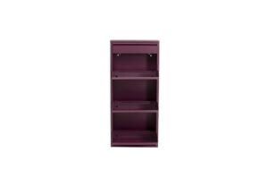 Kare Schuhschrank Caruso 3 plus 1 Beere kaufen Schweiz | Mediatech.ch