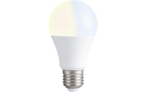 Shelly DUO, E27 WLAN-Leuchtmittel, WW/KW kaufen Schweiz | Mediatech.ch