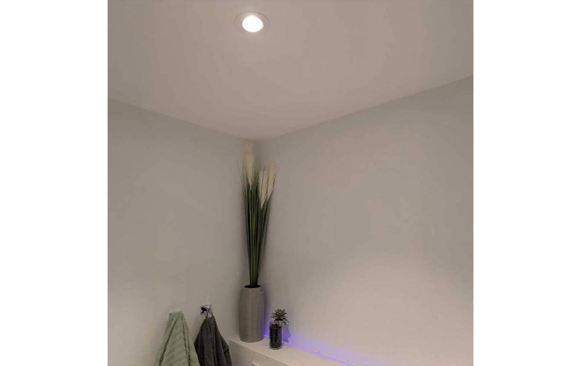 2151670_2 - Mediatech Shelly Light Solutions Spot
