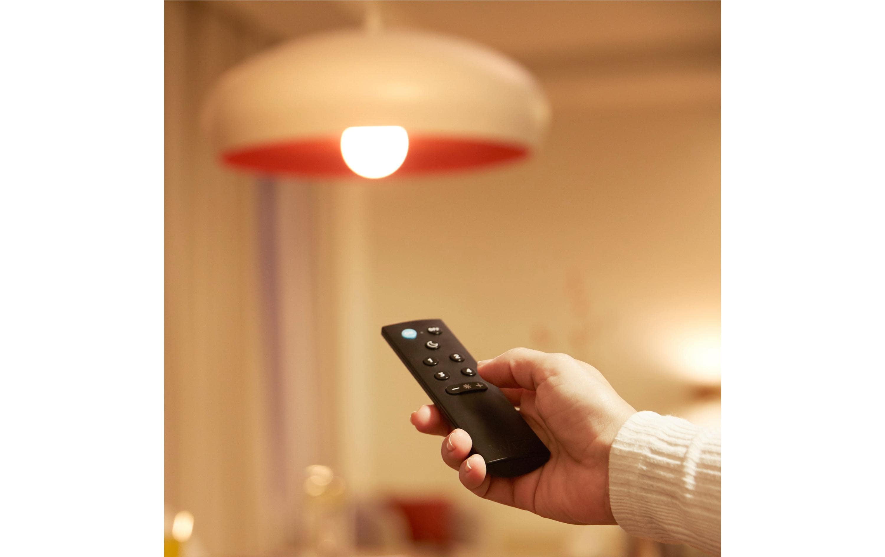 2162673_2 - Mediatech Philips PHI Mremote Control mit Batterien 1PK