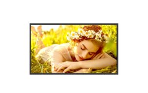 LG 32UL5Q-M 32 UHD, IPS, 330cd/m2, 24/7 Betrieb