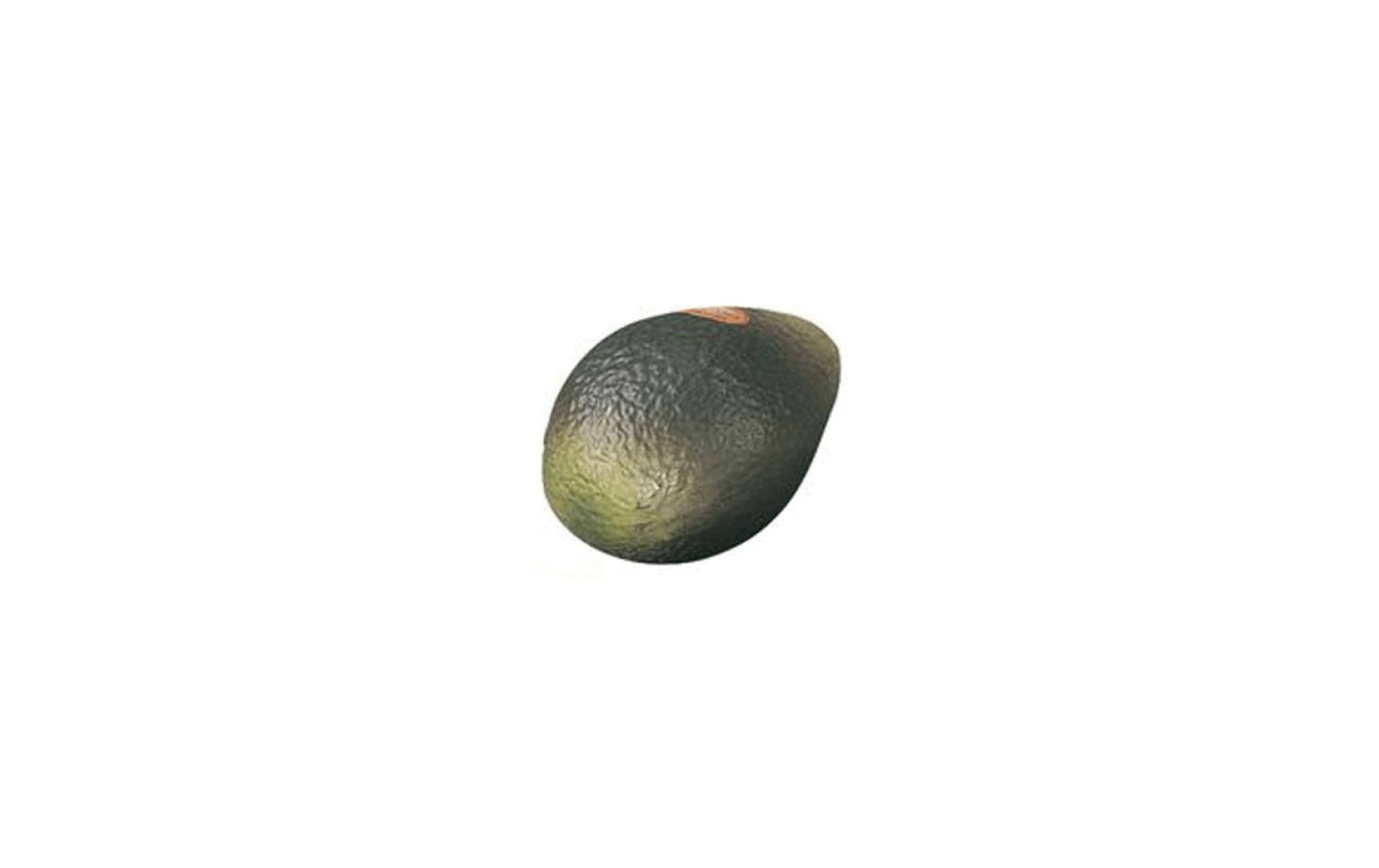 Remo Fruit Shaker Avocado kaufen Schweiz | Mediatech.ch