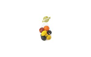 Remo Fruit Shakes 7 Stück assortiert im Netz kaufen Schweiz | Mediatech.ch