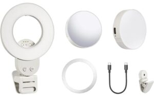 Godox LR Kit LR Smartphone Lighting Kit LR15BI + LR30BI kaufen Schweiz | Mediatech.ch