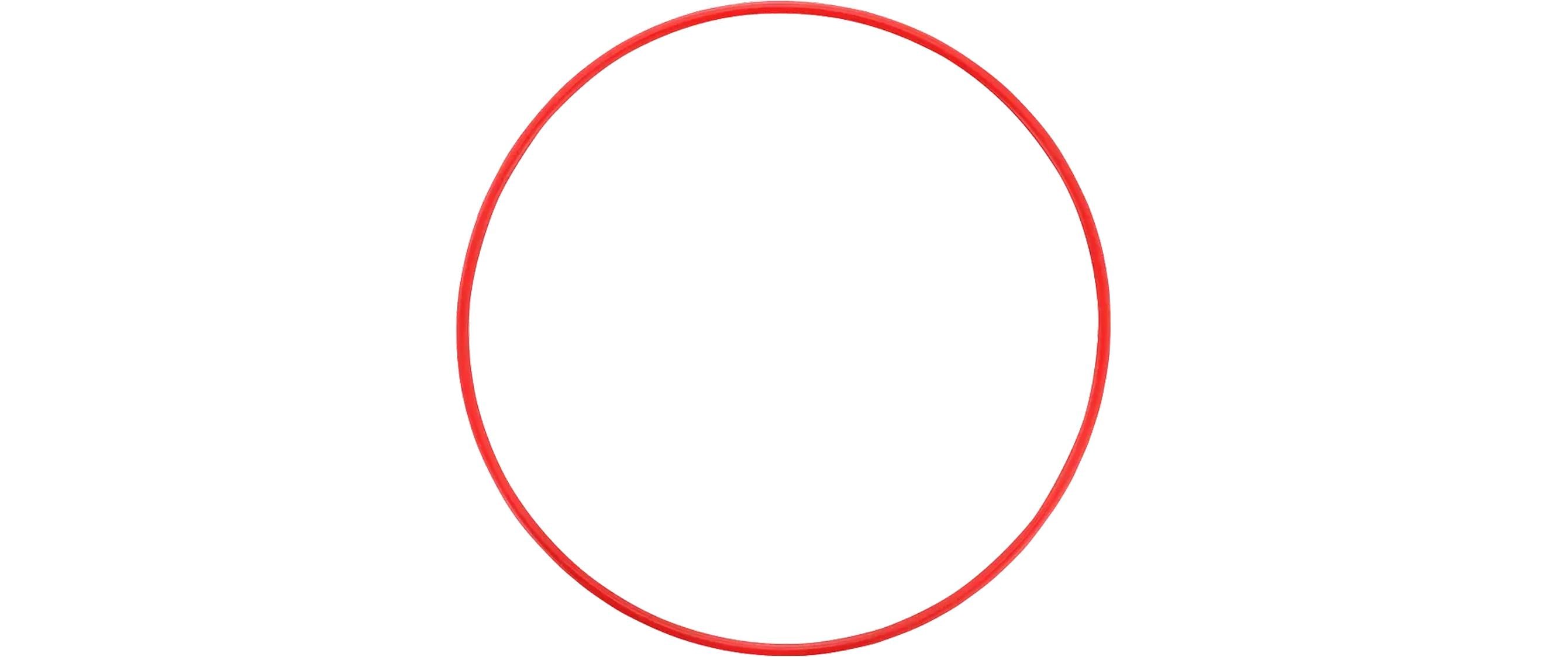 OM System POL-058 O-Ring Rot kaufen Schweiz | Mediatech.ch