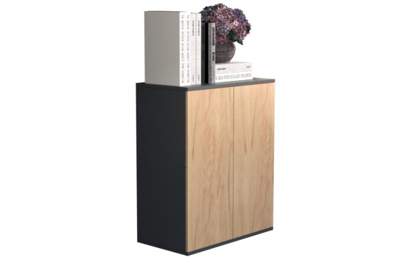 VCM Schrank Dalosa 2-Fach Anthrazit/Honig-Eiche kaufen Schweiz | Mediatech.ch