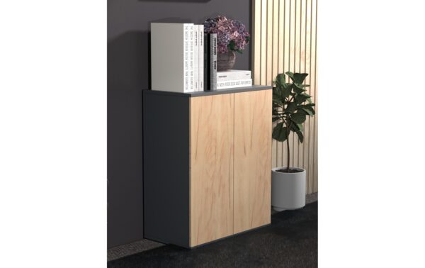 VCM Schrank Dalosa 2-Fach Anthrazit/Honig-Eiche