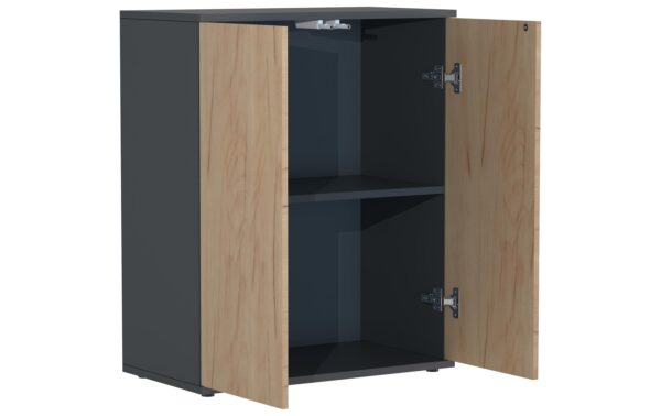 VCM Schrank Dalosa 2-Fach Anthrazit/Honig-Eiche