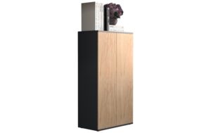 VCM Schrank Dalosa 3-Fach Anthrazit/Honig-Eiche