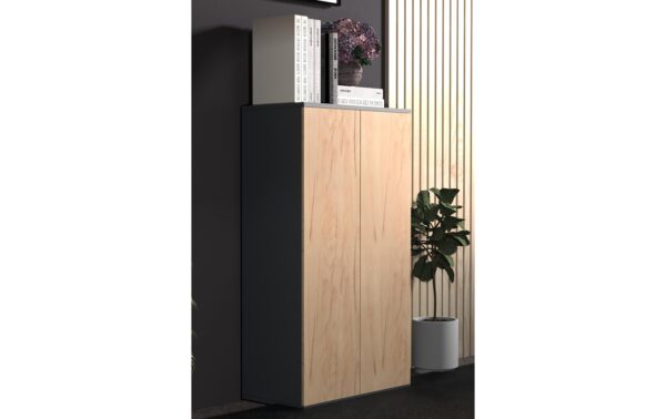 VCM Schrank Dalosa 3-Fach Anthrazit/Honig-Eiche