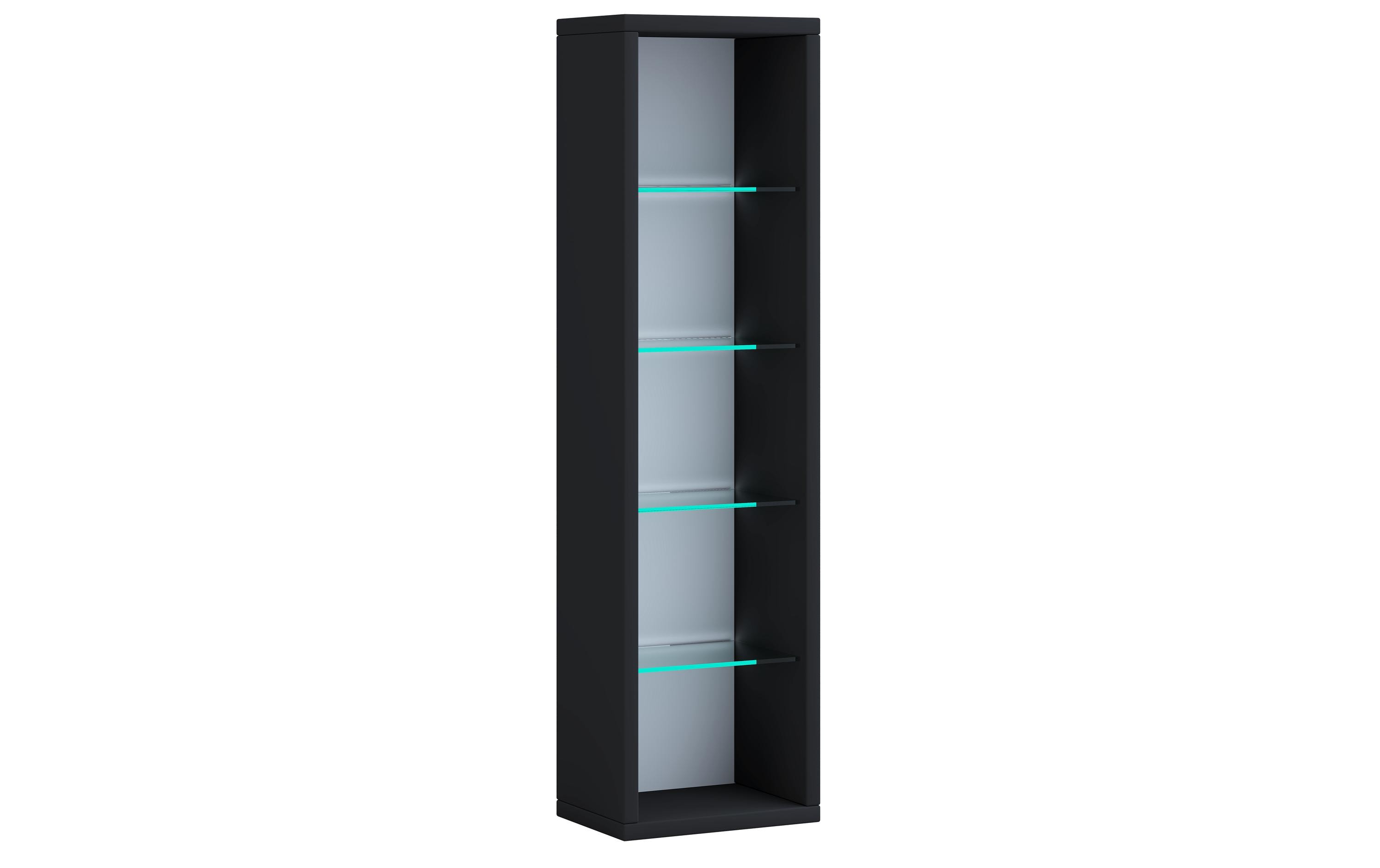 2206105 - Mediatech VCM Regal Rasato L Schwarz kaufen Schweiz | Mediatech.ch