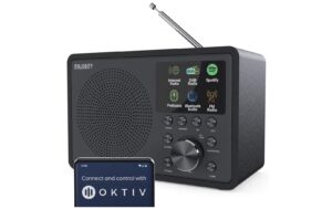 Majority Touro DAB+, Bluetooth, Spotify Connect kaufen Schweiz | Mediatech.ch
