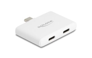 Delock USB Type-C Adapter 10 Gbps, 4K 60 Hz, 92 W, Weiss kaufen Schweiz | Mediatech.ch
