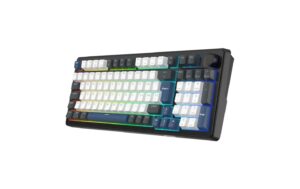 Deltaco DK490 Mechanisch, Gasket, PBT-Tastenkappen