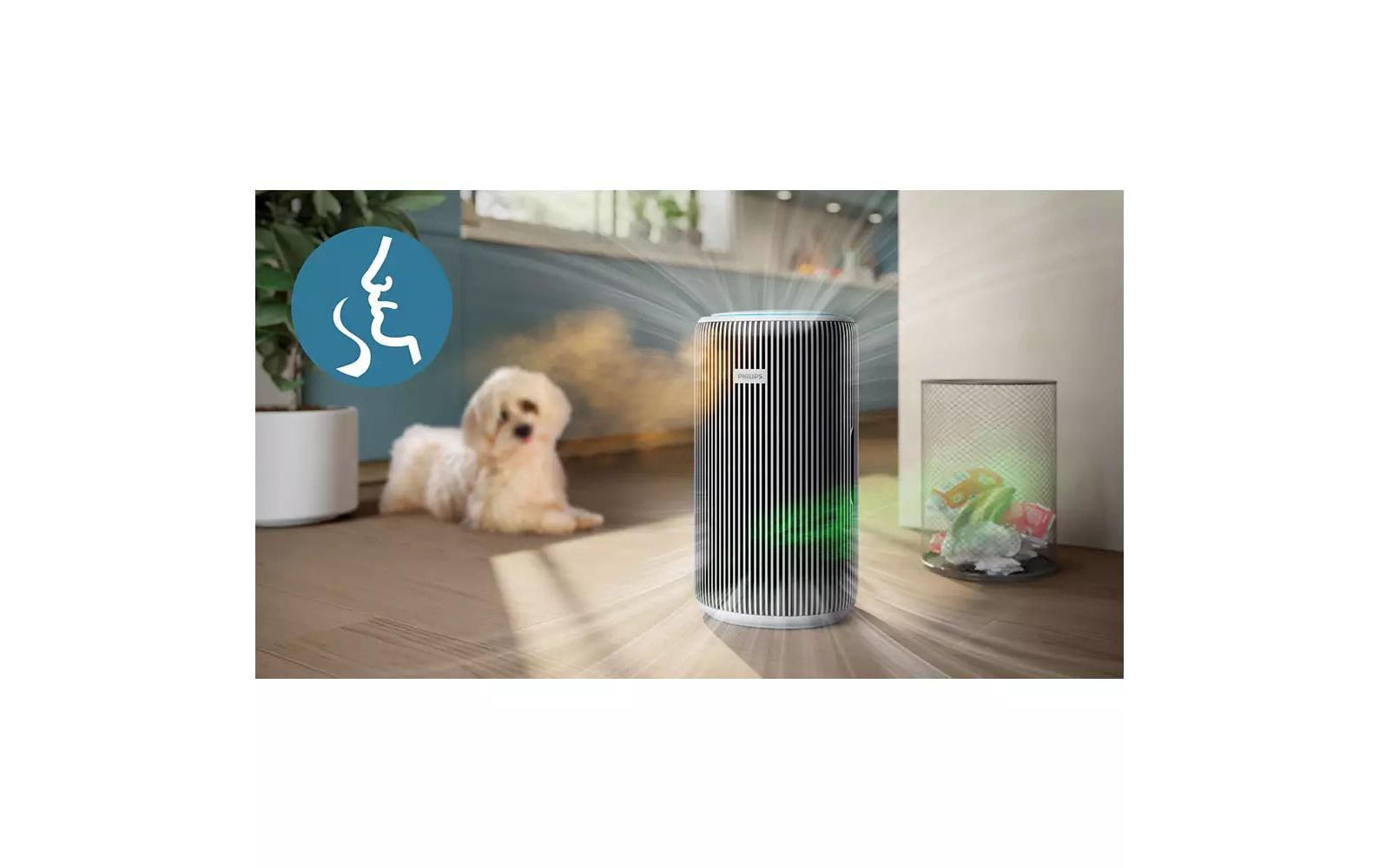 2238479_4 - Mediatech Philips PureProctect AC3220/10