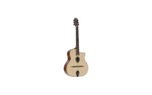 LAG Guitars SL 200 Fichte massiv Palisander Glanz kaufen Schweiz | Mediatech.ch