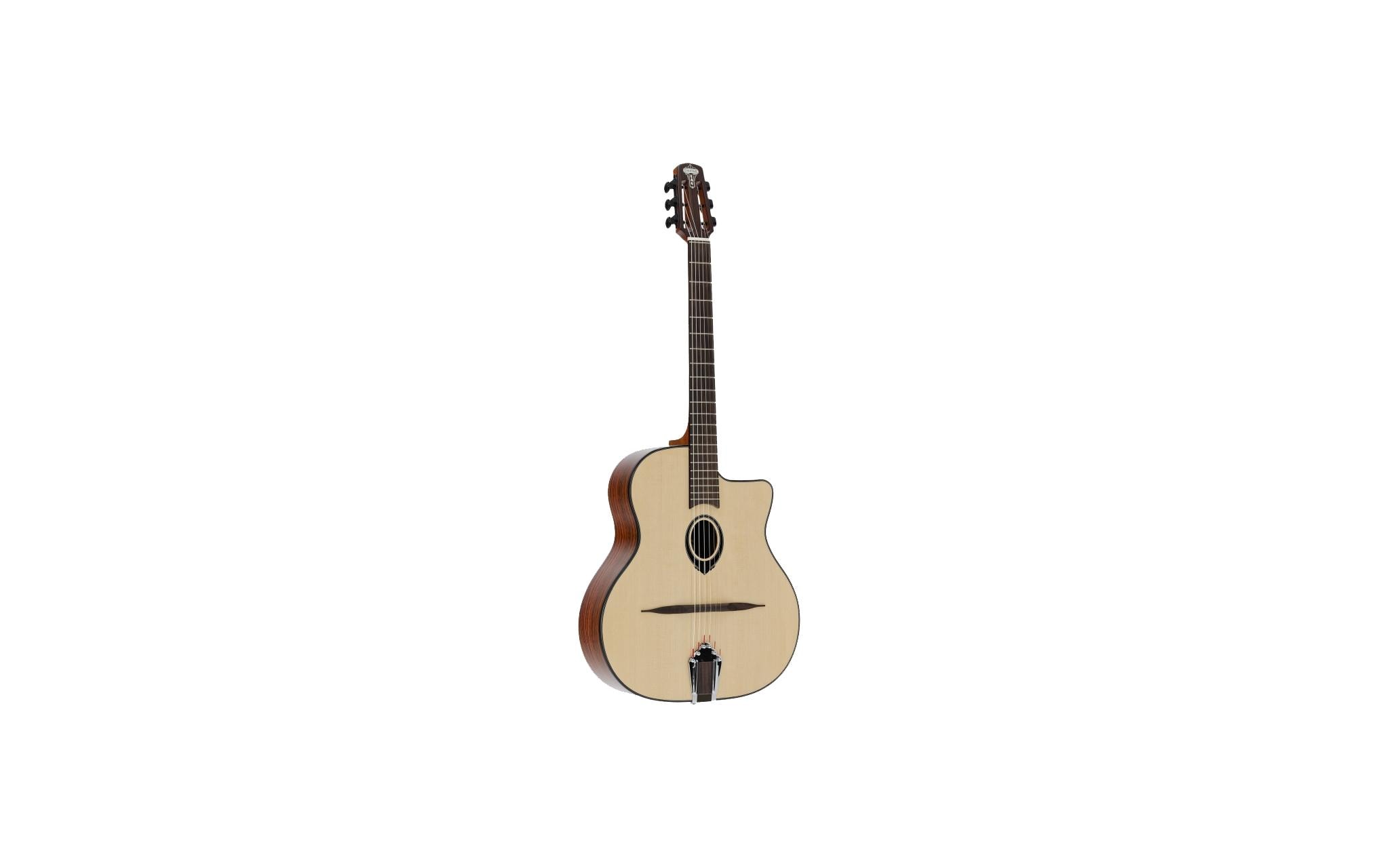 LAG Guitars SL 200 Fichte massiv Palisander Glanz kaufen Schweiz | Mediatech.ch