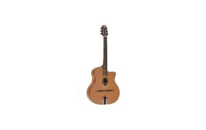 LAG Guitars SL 100 Rote Zeder massiv Mahagoni kaufen Schweiz | Mediatech.ch