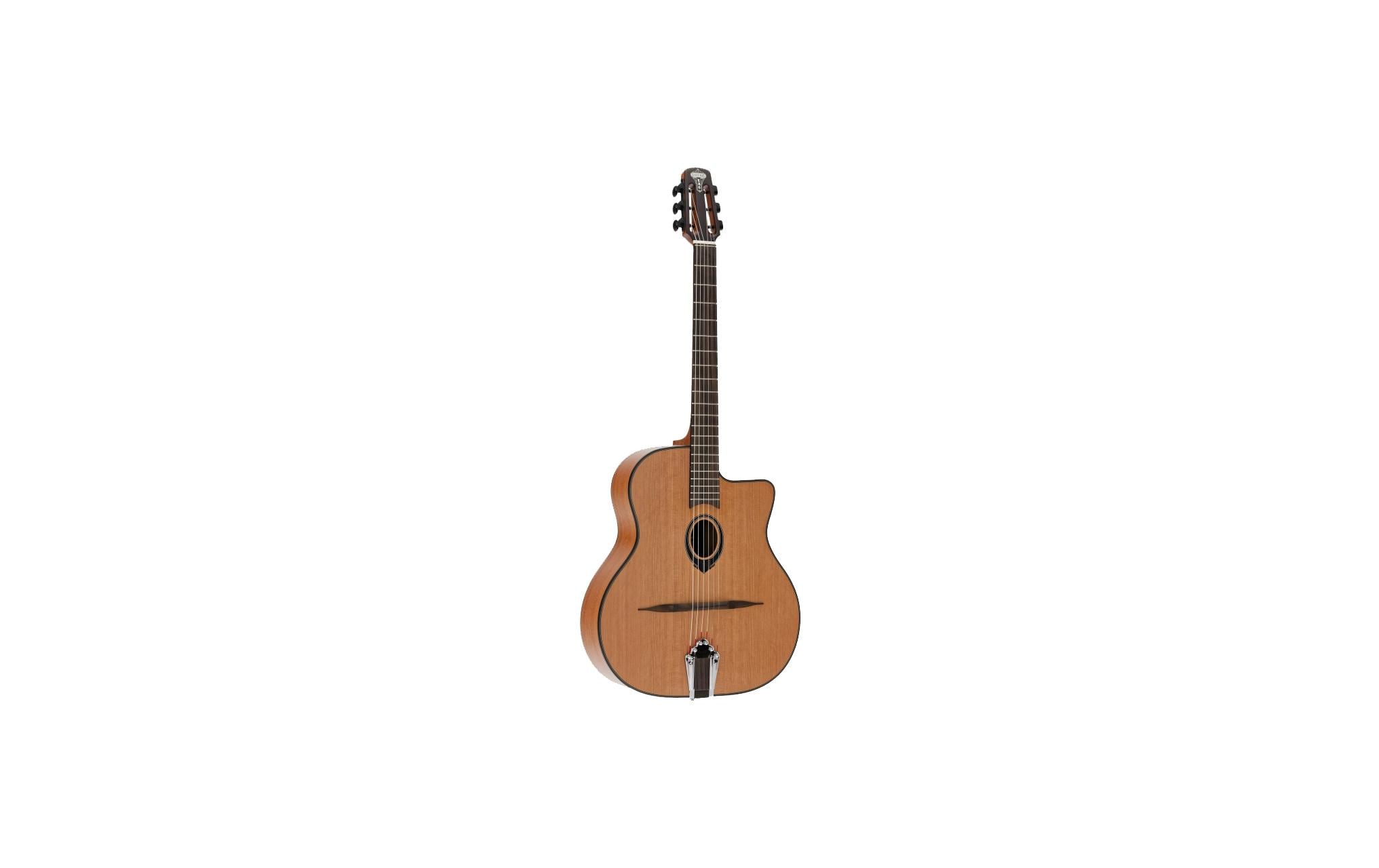 LAG Guitars SL 100 Rote Zeder massiv Mahagoni kaufen Schweiz | Mediatech.ch