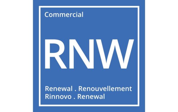 Nakivo B&R Pro Essentials RNW, per CPU, Virtual, Bronze