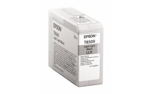Tinte Epson C13T850900 light black, 80ml zu SureColor SC-P800 kaufen Schweiz | Mediatech.ch