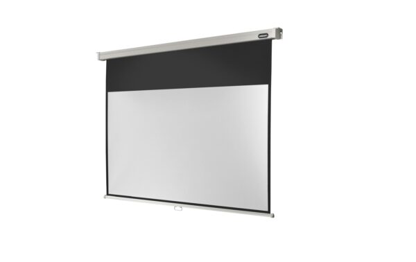 Celexon, Rollo Professional, Leinwand, 16:9 manuell, 300x169cm
