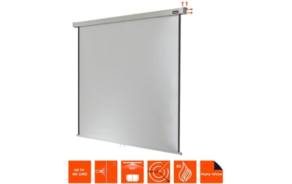 Celexon, Rollo Professional, Leinwand, 1:1 manuell, 280x280cm