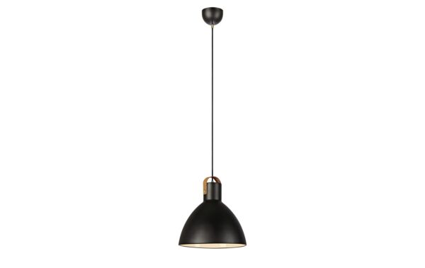 Markslöjd MARKSLOJD Eagle 1L Pendelleuchte Schwarz 106550, 1x E27 60W, Dimmbar kaufen | Mediatech.ch