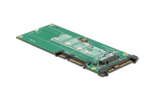 DeLock U.2 oder SATA zu M.2 Adapter U.2 für NVMe M.2 SSD, SATA für SATA M.2 SSD kaufen Schweiz | Mediatech.ch