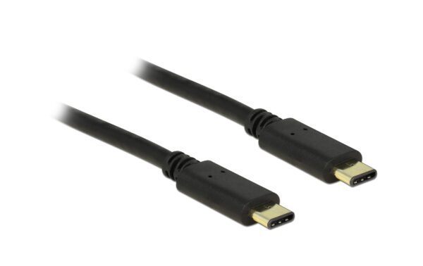 Delock USB2.0-Kabel TypC-TypC: 2m, schwarz max. 480Mbps, Typ-C Stecker beidseitig kaufen | Mediatech.ch