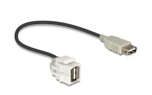 Delock Keystone Jack: USB2.0,250° gewinkelt A-Buchse-A-Buchse, weiss, 30cm Kabel