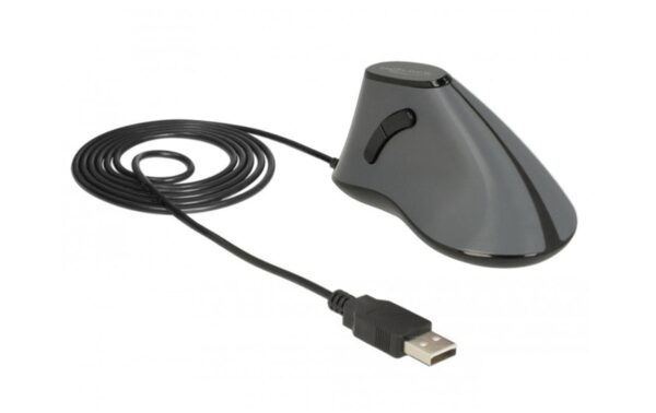 Delock 12527 5 Tasten Maus, Kabelgebunden kaufen Schweiz | Mediatech.ch