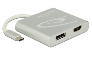 Monitor Splitter USB Typ-C zu HDMI & DP 4K bis 30Hz, Silber, DP Alternate Mode
