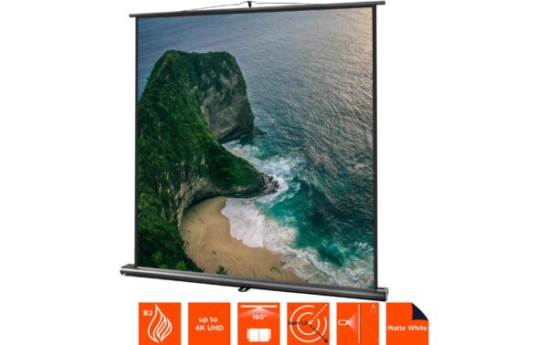 Celexon, Ultramobil Professional, Leinwand 1:1, manuell, 200x200cm