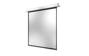 Celexon, Deckeneinbau Motor Professional + 1:1, elektrisch, 180x180cm