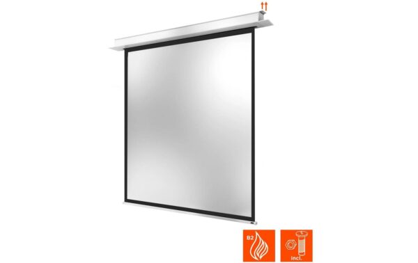 Celexon, Deckeneinbau Motor Professional + 1:1, elektrisch, 180x180cm