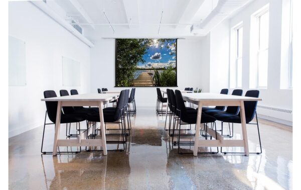 Celexon, Deckeneinbau Motor Professional + 4:3, elektrisch, 220x165cm