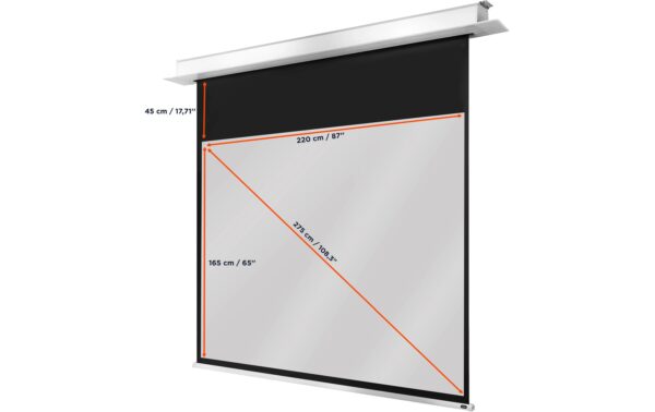 Celexon, Deckeneinbau Motor Professional + 4:3, elektrisch, 220x165cm