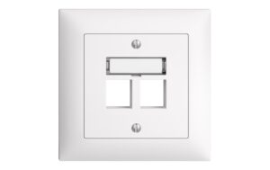 Feller EDIZIOdue Keystone Montage Set UP 2-fach, Auslass gerade, 878 140 000