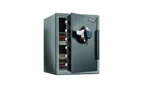 Masterlock Tresor LTW205GYC elektr. Zahlenschloss kaufen Schweiz | Mediatech.ch