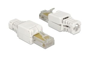 Delock RJ45 Stecker, UTP, Cat.5e, 2 Stück Für Massiv- und Litzenleiter AWG 24-26