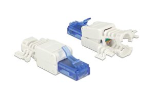 Delock RJ45 Stecker, UTP, Cat.6A, 2 Stück Für Massiv- und Litzenleiter AWG 24-26