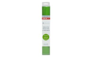 Silhouette Glossy Vinyl Oracal 651 grün 1 Rolle, 30.5 cm x 120 cm