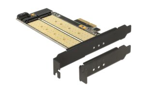 DeLock PCI-Ex4 Kontroller 1xNVME 1xSATA Für M.2 Key-M NVME & M.2 SATA Key-B Modul